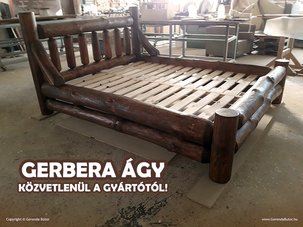 Gerbera rönkágy