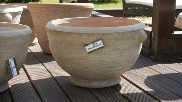 Király Kaspó, a kaspó király!