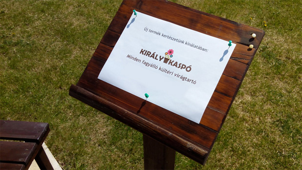 19 990 Ft minden kaspó!