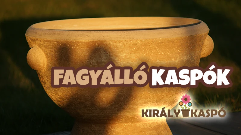 Király Kaspó termékek