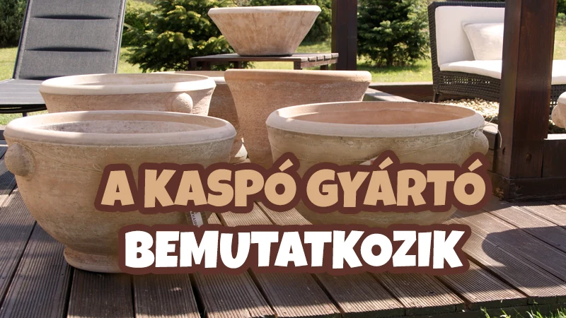 Király Kaspó bemutatkozás