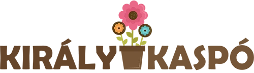 Király Kaspó logó