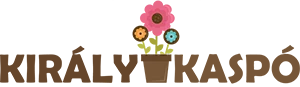 Király Kaspó logó Király Kaspó logó